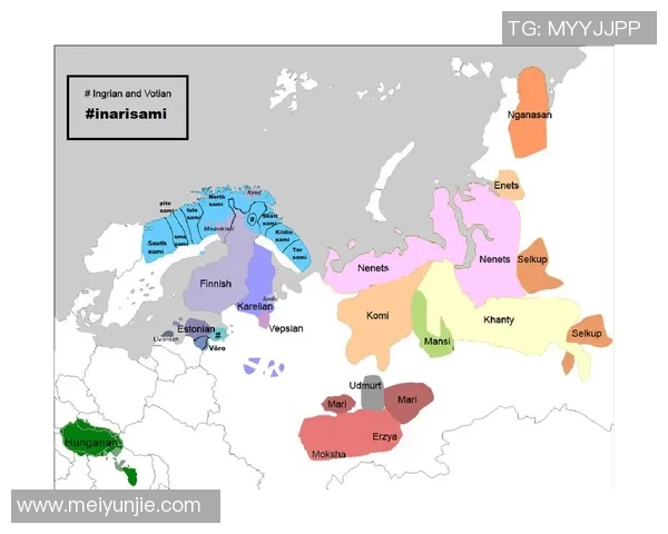 芬兰与匈牙利足球对决数据分析及战术解析全面解读