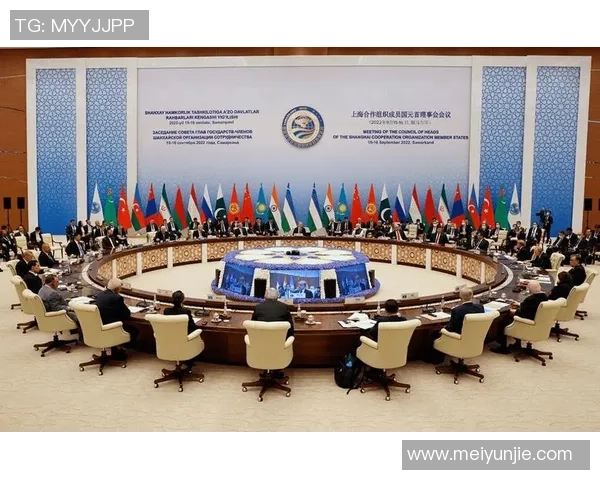 赖斯的崛起与挑战：探索其在国际舞台上的影响力与未来发展方向